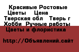   Красивые Ростовые Цветы! › Цена ­ 3 000 - Тверская обл., Тверь г. Хобби. Ручные работы » Цветы и флористика   